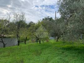 Terreno Madonna del Carmine