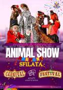 Animal Show