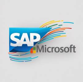 Docente senior Ms Office 365 e SAP FI, MM, SD con partita iva