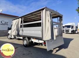 RIF.1189 FIAT DUCATO MAXI - 2020 - CASSONE CENTINATO ALZA/ABBASSA - EURO 6D