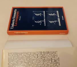 Lo svergognato di SIMONETTA UMBERTO 1°Edizione Bompiani, Milano 1973 perfetto 