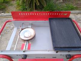 Griglia barbecue a gas due fornelli