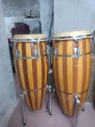 CONGAS