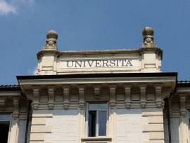 SCEGLI IL MEGLIO PER LA TUA TESI DI LAUREA: TUTORAGGIO DA PARTE DI DOCENTE UNIVERSITARIA REFERENZIAT