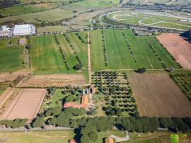 Cantina di Castel Romano vini sfusi di qualità