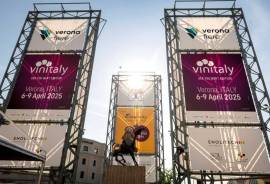 VINITALY 2025 disponibili ingressi a costo meno della metà