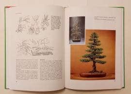 L’arte del bonsai di Peter D.Adams; Ed.Fratelli Melita, La Spezia, 1992