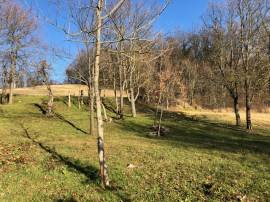 vendita borgo in sasso - più unità abitative - più terreno -  colline di savigno