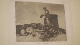 CRUEL LASTIMA! DI FRANCISCO JOSÈ DE GOYA LUCIENTES