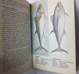 Pesca in mare di Tony Burnand 2°Ed.Mondadori, febbraio 1967