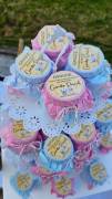 Gender Reveal - Baby Shower