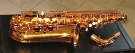 Sax Alto SELMER SA 80 Style finitura in Oro Galvanico Nuovo