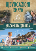 FALCONERIA E DIDATTICA - RIEVOCAZIONE MEDIEVALI – ALLESTIMENTI VITA DA CAMPO – ANTICHI MESTIERI 