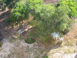 FAVIGNANA BIVANO IMMERSO NEL VERDE