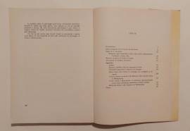 Il bombardamento di Montecassino.Diario di guerra di E.Grossetti e M.Matronola Tip.Ed.M.Pisani, 1980