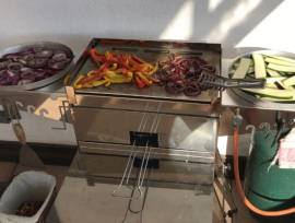 BARBECUE PROFESSIONALE INOX A GAS