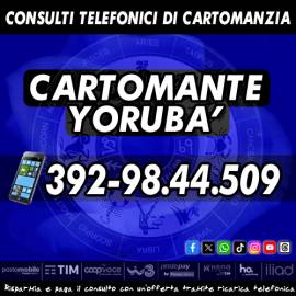 http://ilcartomanteyoruba.altervista.org