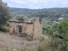 terreno Torchiara