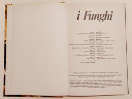 I funghi.Il manuale del cercafunghi e delle buone ricette casalinghe Fernando Rais Ed.del Drago,1985