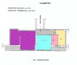 Vendesi Centrale Bivani più servizi