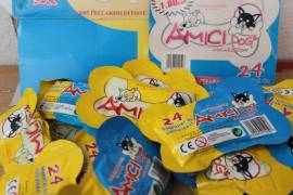 LOTTO 18 PZ AMICI DOGS COLLECTION CAGNOLINI EXPO PIZZARDI