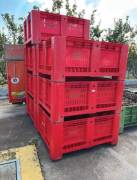 CASSE AGRIBOX VERARDI ROSSE