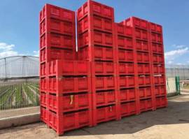 CASSE AGRIBOX VERARDI ROSSE