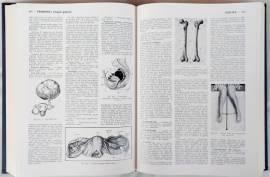 NUOVISSIMO DIZIONARIO MEDICO LAROUSSE Editore: SAIE 5°Edizione Torino, giugno 1976