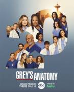 Grey's Anatomy - Stagione 20