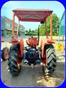 Trattore Agricolo Same Delfino 35 GL da CV 34