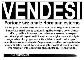 Portone sezionale Hormann esterno