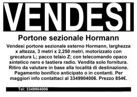 Portone sezionale Hormann esterno