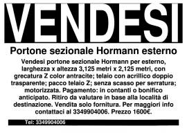 Portone sezionale Hormann esterno