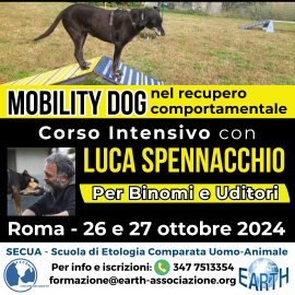  CORSO DI MOBILITY DOG CON LUCA SPENNACCHIO 