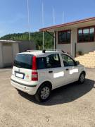 Autocarro Fiat Panda