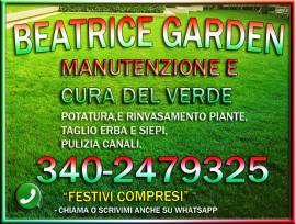 MANUTENZIONE DEL VERDE - SGOMBERI - PULIZIE - Beatrice-Garden-Padova e Provincia 3402479325