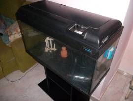 Acquario con supporto in legno