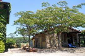 Agriturismo I Mori Gelsi - Fattoria Spinola (Umbria)