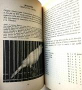 Guida all’allevamento moderno dei canarini di Vittorio Menasse’; Editore: De Vecchi, 1983
