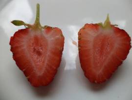 Fragola zucchero