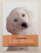 Il mio Labrador. Educarlo, Addestrato, Curarlo, Amarlo di Valeria Rossi Ed.De Vecchi, settembre 2008