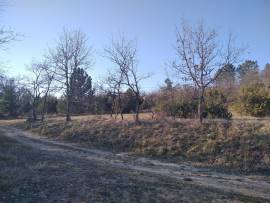 Terreno agricolo in Istria.