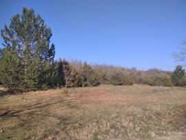 Terreno agricolo in Istria.