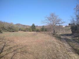 Terreno agricolo in Istria.