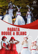 PARATA IRLANDESE- SFILATA SUI TRAMPOLI – COREOGRAFIE E DANZE - EMA 70 EVENTI - COSTUMI SCENICI UNICI