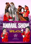 SALTIMBANCHI – SIMPATICA - ANIMAZIONE PER TUTTA LA FAMIGLIA EMA 70 EVENTI – EVENTI DI PIAZZA – EVENT