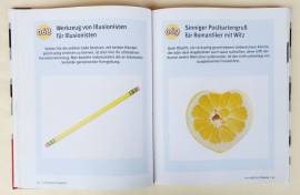 Optische Illusionen von Martin Simon Verlag: Franzis Brainbooks, 2008 