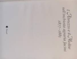 L'ABRUZZO E IL MOLISE NELL'INCHIESTA AGRARIA JACINI 1877-1885