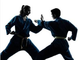 Corso per adulti di Vovinam Viet Vo Dao