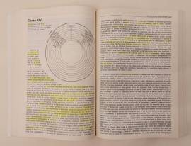 La Divina Commedia in TRE VOLUMI con illustrazioni di Dante Alighieri Ed.Zanichelli, 1993